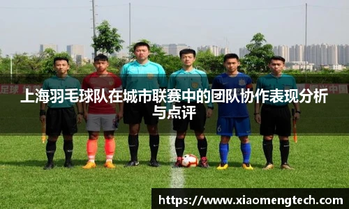 上海羽毛球队在城市联赛中的团队协作表现分析与点评