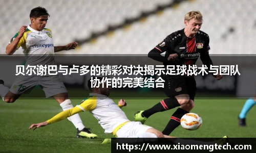 贝尔谢巴与卢多的精彩对决揭示足球战术与团队协作的完美结合